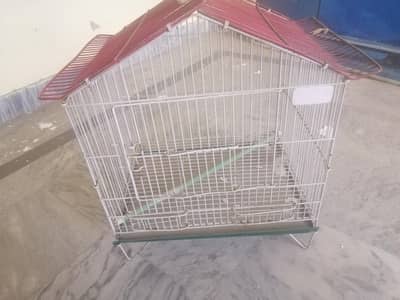 Cages parrots, cats, hen