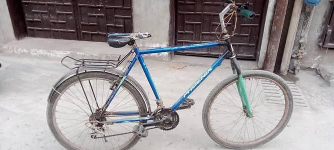 Wheeling Bicycle