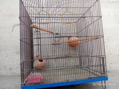 bird cage