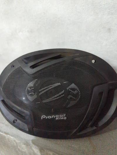 Pioneer King Speaker