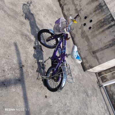 Elsa  Anna Girl bicycle for sale