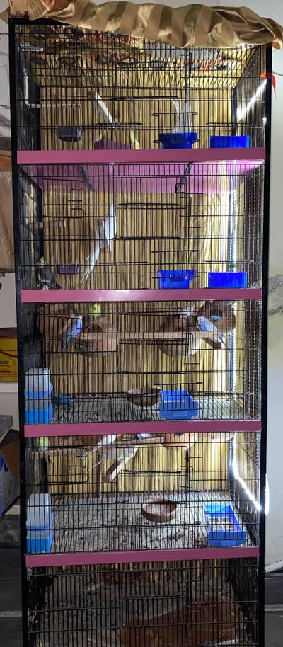 Iron cage | Cage Setup | Cage for pet | Parrots | Boxes | Matkia