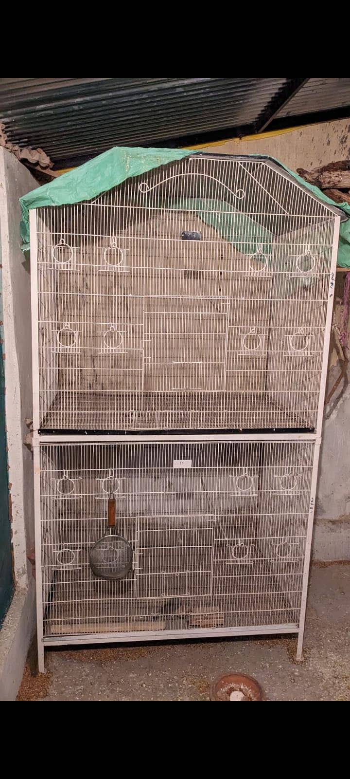 fawn java and cage 3