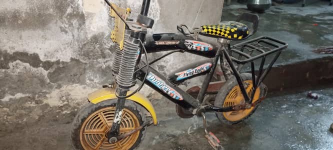 3 year to 6 year cycle for sale  0321-4847495