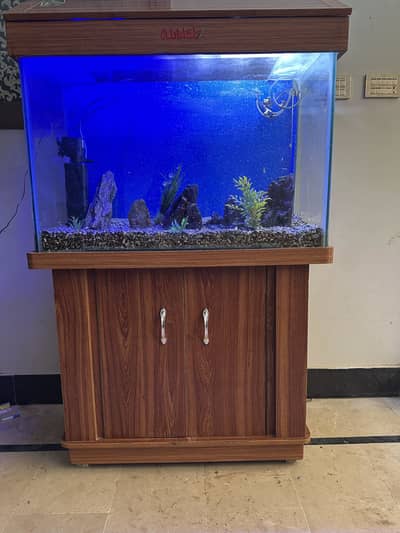 Fish Aquarium