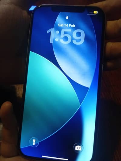 12 Pro Max 2256 GB Golden colour