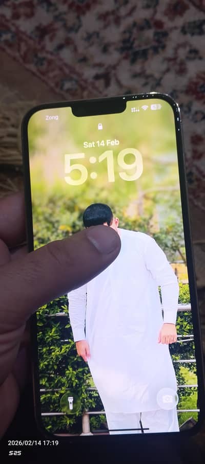 13 pro max 256 gb pta approved