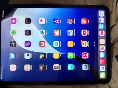 ipad pro m 4 256 gb with box and charger