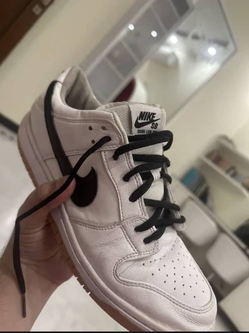 Nike sbdunks 1