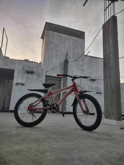 Brand New Fat Tyre Cycle | Disc Brake | Custom Build