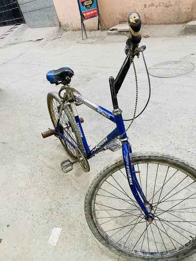 phoenix 26 size sale argent