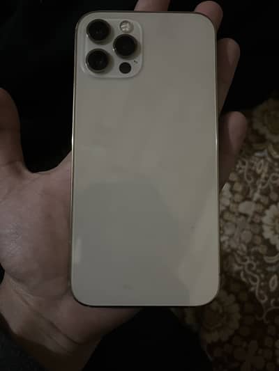 Iphone 12 pro dual pta waterpack