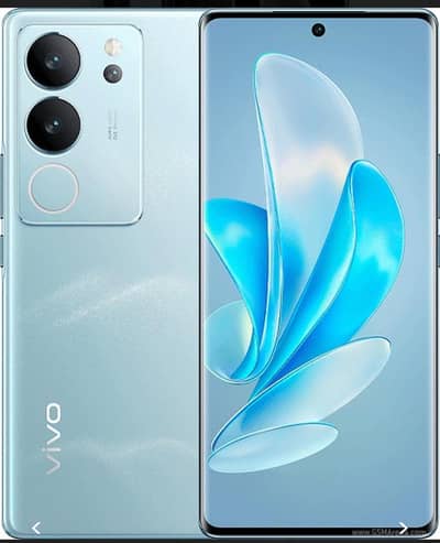 vivo v29 5G 12/256
