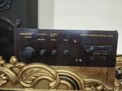 For Sale 2 Desi Speakers with Amplifier.