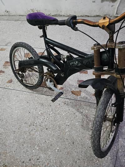 Jumper Bicycle with Gears