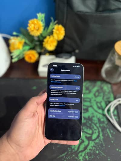 15 pro max Pata approved