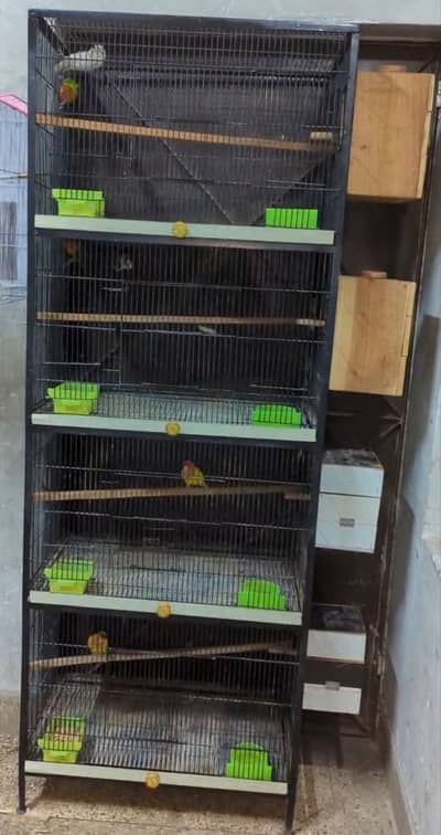 4 cabin cage  2ft by 1.5ft