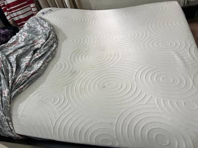 Master Classique Executive Matress