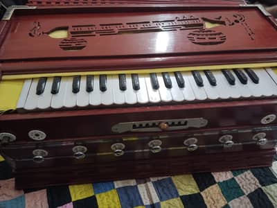 Harmonium 3 reed set palitana reeds scale changer