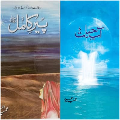 Pack Of 2 | Brand New Urdu Novels - Peer‑e‑Kamil & Aab‑e‑Hayat