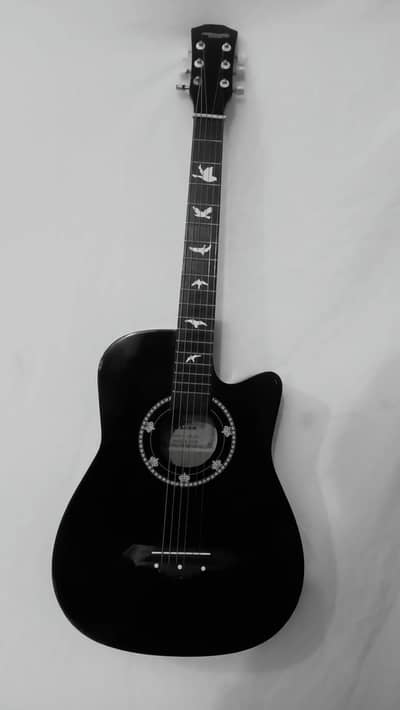 acoustic beginner guitar Excellent Condition