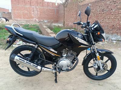 Yamaha ybr 2023 model totally genuine 0/3/0/4/0/77/7/215