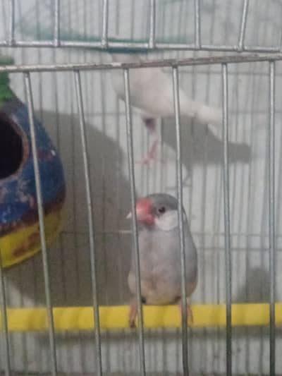 small setup for sale