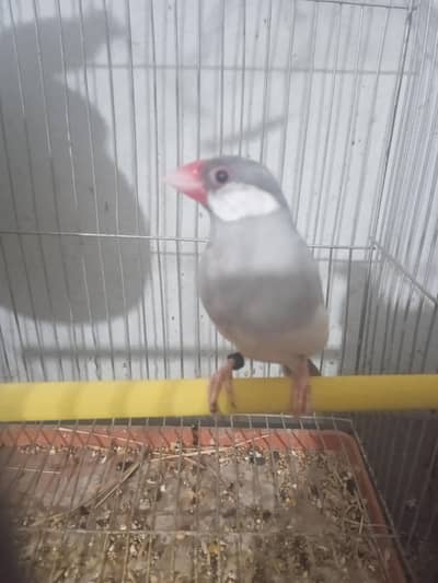 small setup for sale