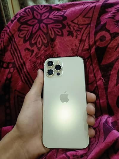 iphone 12 pro max factory unlocked