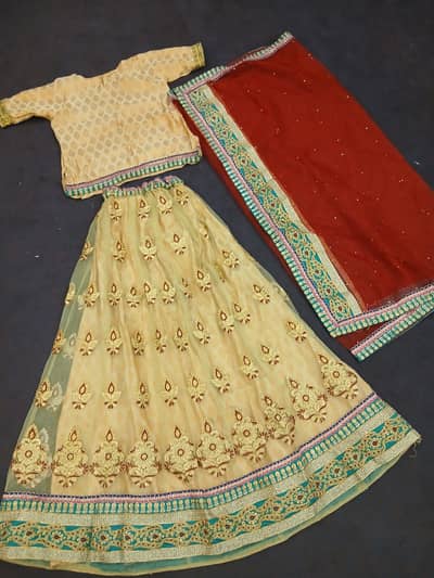 Indian Banarsi Lehenga Set – New Excellent Condition