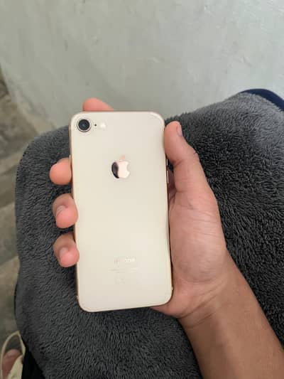 Iphone 8 pta approve