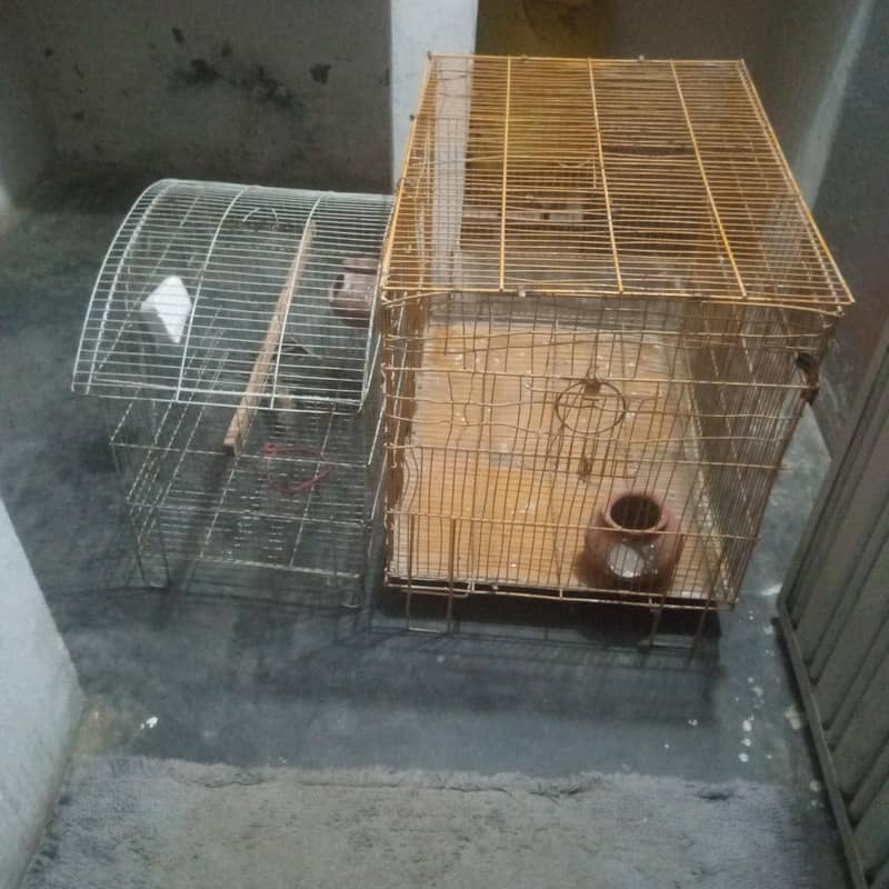 cages 2