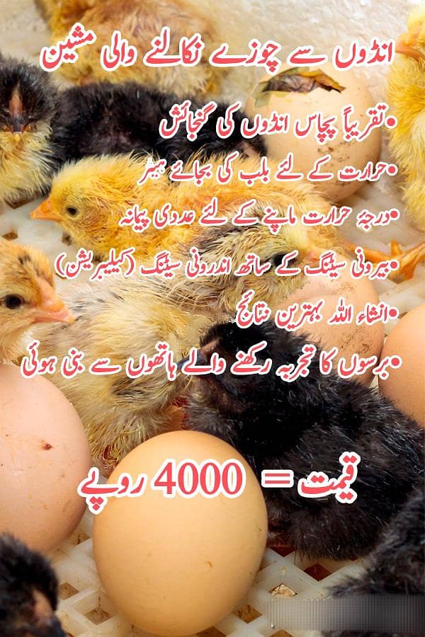 بہترین رزلٹ والا انکیوبیٹر 4