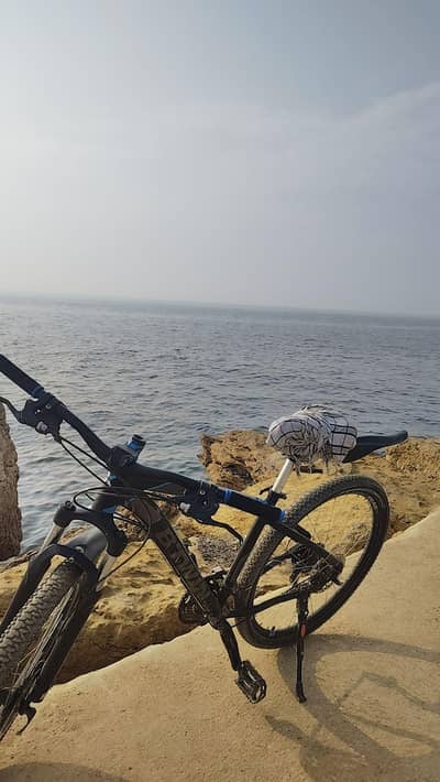 B. TWIN rockrider 520