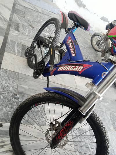 large size cycle for young