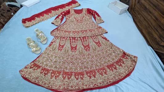 bridle lahenga