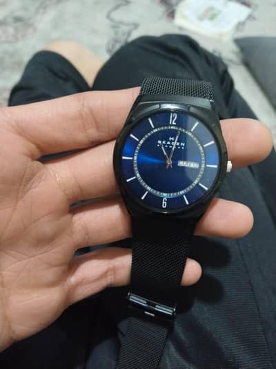 Skagen watch