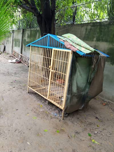 dog cages