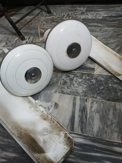 Royal fan and GFC fan for sale