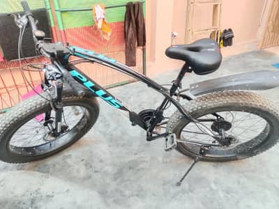 plus company original cycle