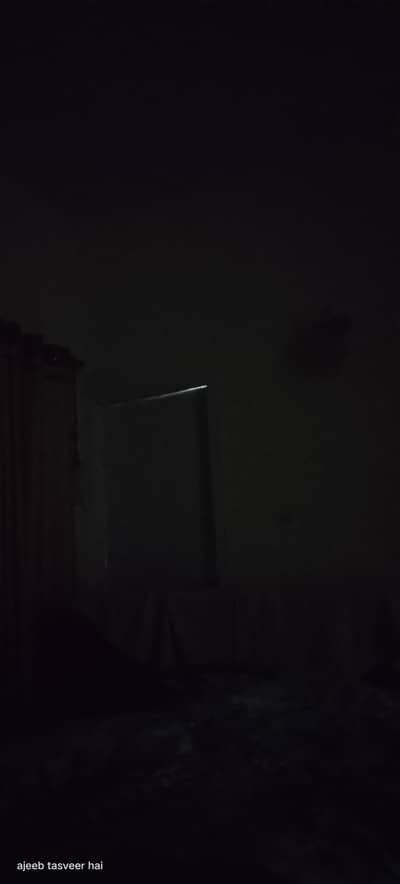 need mature females for new venture