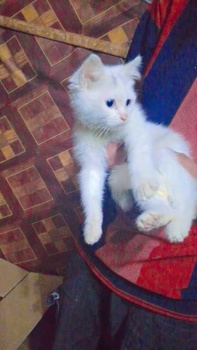 so cool and beautiful