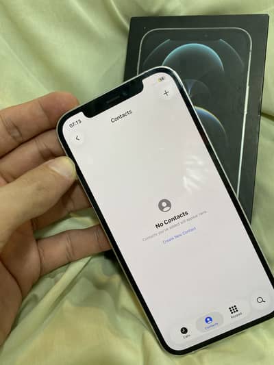 12 pro 256gb non pta