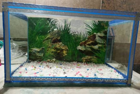 aquarium for sell