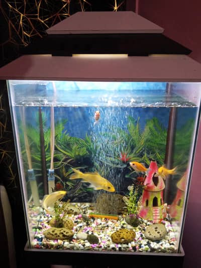 only serious person contact with us