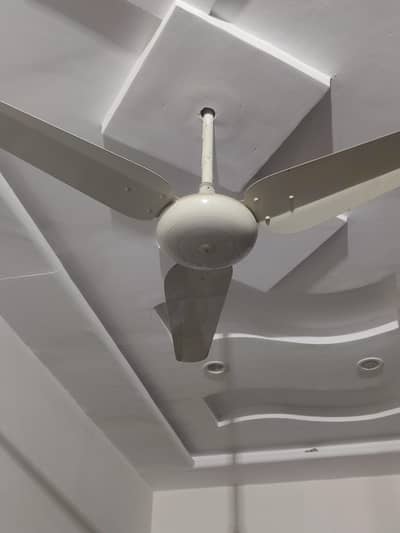 celling fans for sale