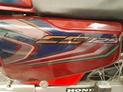 HONDA 125 PH 0-3-0-0-9-4-6-8-5-9-1 BRAND NEW FIT BIKE 2022