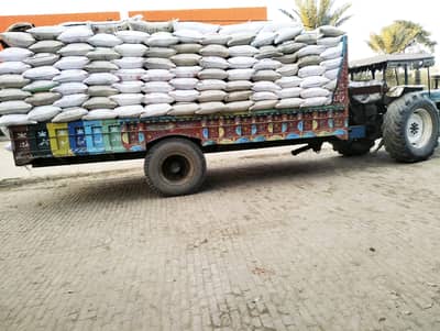 tutta chawal perchun shop and wholesale  Rice