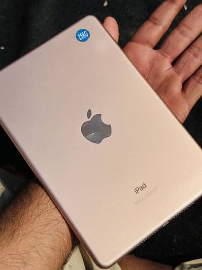 Ipad mini 5 256 gb