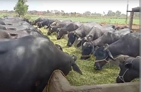 required for marketing stuff